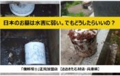 「水害多い国」日本のお墓は水害に弱い。でもどうしたらいいの？【おおきた石材店・兵庫県】